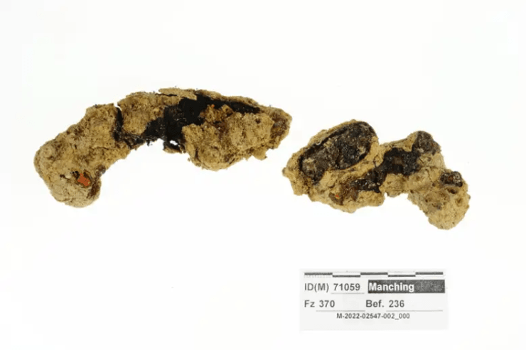 археологи, археология, римляне, сандалии, раскопки, гвозди, кожа, солдаты, обувь, металл, открытие, калиги, находка