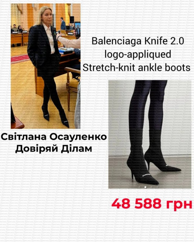 Лук депутатки Світлани Осауленко