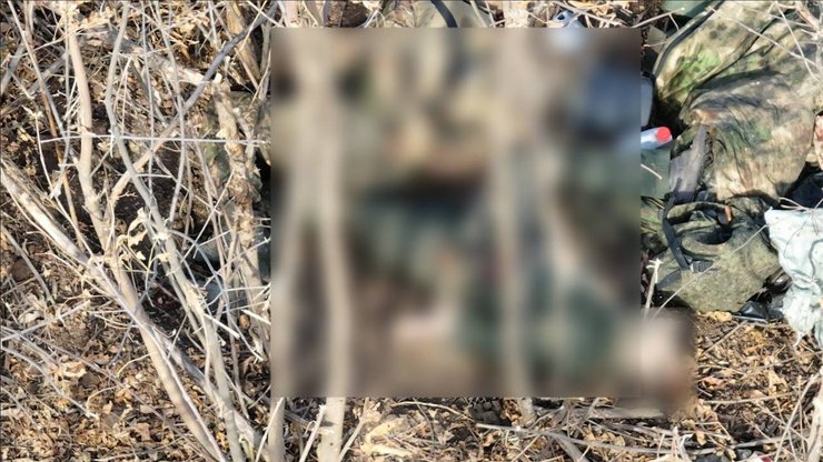 Убитые украинские военные, убийство, пленные