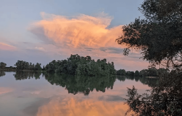 Поймал огромную рыбу, карп, поймал карпа, знак с небес, необычное облако, облако в форме рыбы, карповые боги, карп больше чем собака