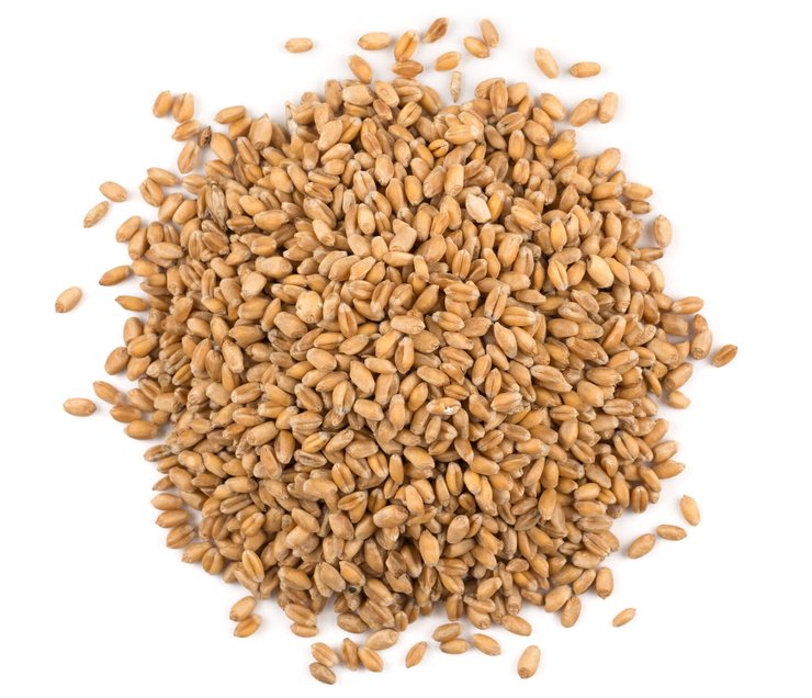 жито, крупа, здорова їжа