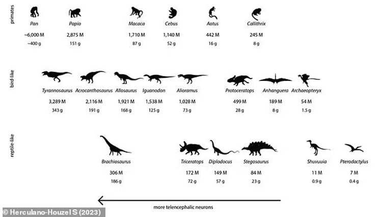 динозавры, палеонтология, тиранозавр, древние животные, исследования
