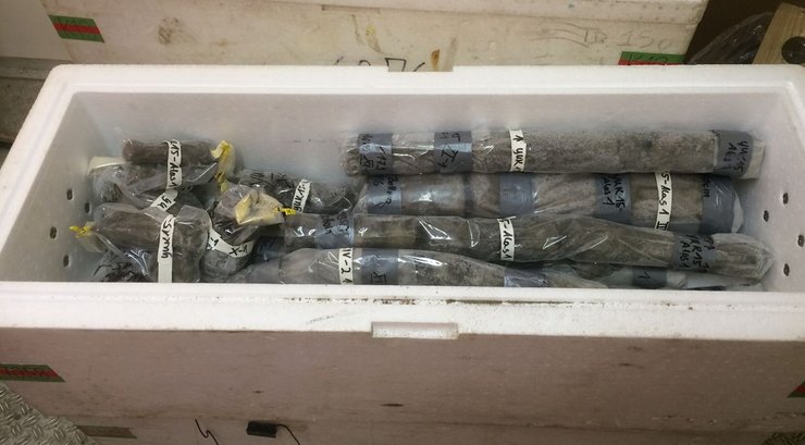 древние образцы