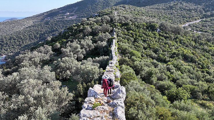 акведук дорога лес люди сооружение
