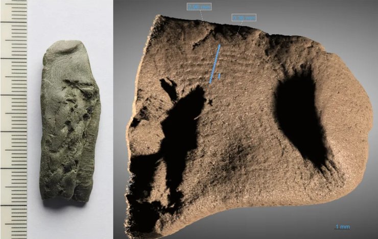 Йортспрінгський човен відбиток пальця