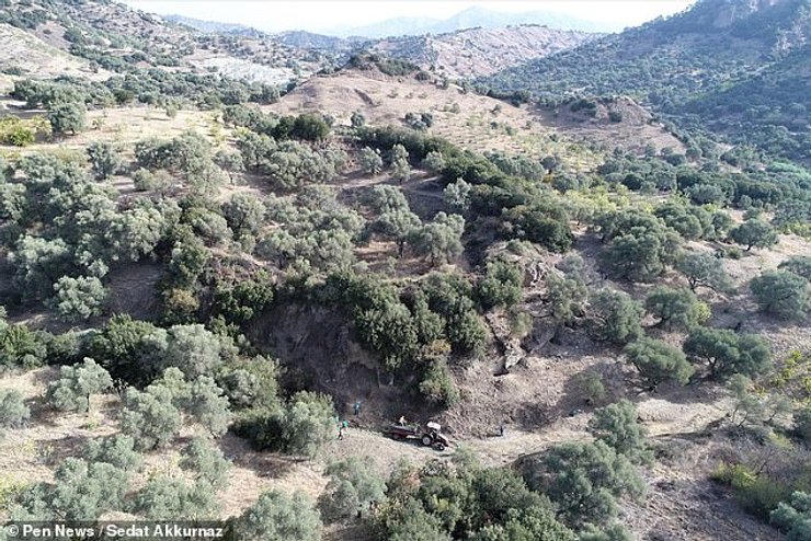 древнеримская арена