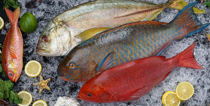 свежая рыба Seadora на льду