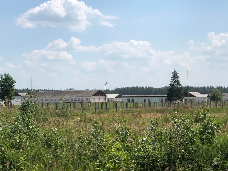 лагерь, беларусь