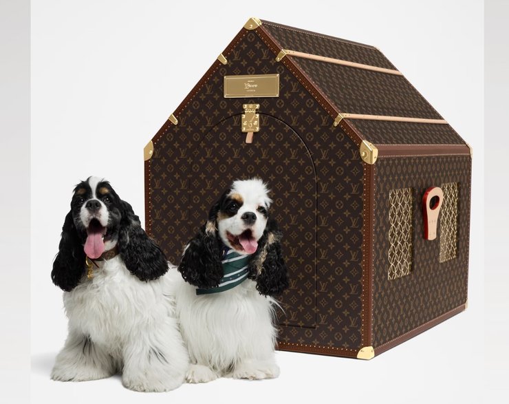 Louis Vuitton, вихованці, будка, шкіра, фото