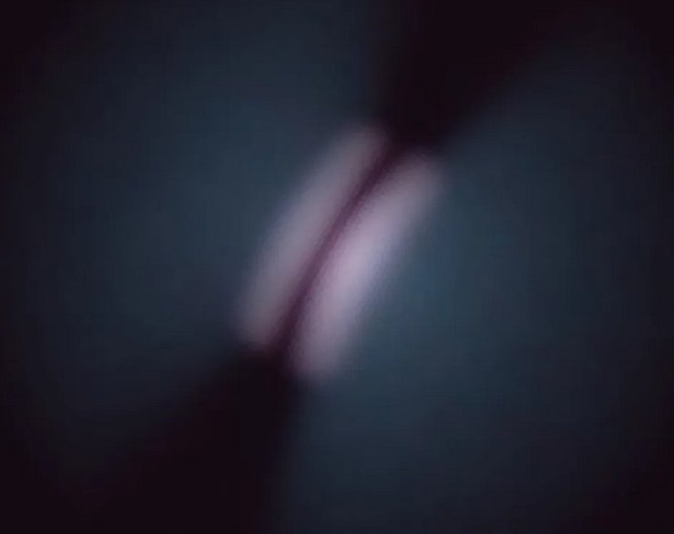 чивито дракулы протопланетный диск