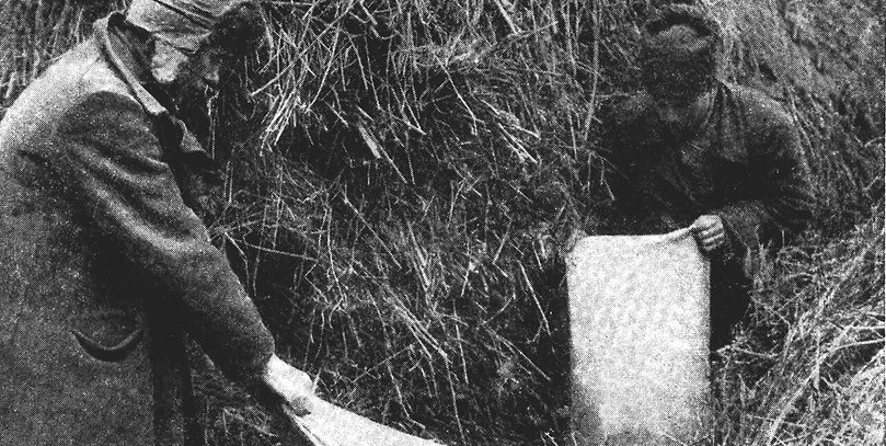 Як готували Голодомор: кампанія із розкуркулення українського села