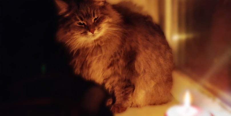 Графіки відключень 9 грудня: хто сидітиме без світла 14 годин