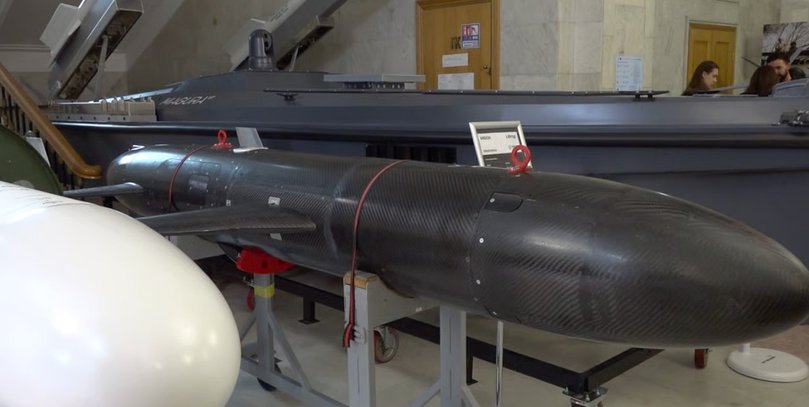 На базі "Паляниці": в Україні представили ракету-дрон Areion (відео)