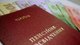 Получить одновременно 10 пенсий: кто имеет право на выплаты и когда начнут начислять деньги