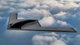 "Маленькое насекомое": B-21 Raider — первый стратегический бомбардировщик Northrop Grumman за 10 лет
