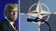 США против НАТО: похоронит ли Трамп окончательно Североатлантический Альянс