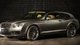 Их изготовили всего 19: на продажу выставили раритетный универсал Bentley (фото)
