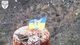 Под Бахмутом над позициями ВС РФ пограничники установили флаг Украины (видео)