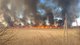Глупость и безответственность. Фоторепортаж: вокруг Киева горят леса, луга и торфяники