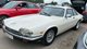 Гость из 80-х: в Украине заметили впечатляющий винтажный спорткар Jaguar (фото)