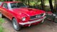 В заброшенном сарае нашли раритетный Ford Mustang 60-х: он 40 лет стоял на месте (фото)