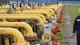 Газовая схватка. Почему Газпром не продлит транзит через украинскую ГТС