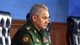 Готовы к диалогу: Шойгу заговорил о "Стамбульской мирной инициативе" с Украиной