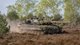 Ожидания против реальности: Leopard 2 плохо показали себя на войне с РФ, — The Telegraph