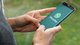 В мессенджере WhatsApp появилась новая тайная функция: что о ней удалось узнать