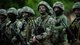 Освобожденные из плена: куда военным обращаться за медицинской помощью