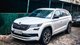 Семейный спорт: в Киеве заметили редкий заряженный кроссовер Skoda (фото)