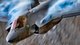 Цифры не врут: F-35 Lightning — непобедимый истребитель