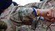 Війна проти власної армії: як роспропаганда зіштовхує українців лобами