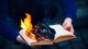 Оцифрувати і ліквідувати: ШІ-компанії масово скуповують паперові книги і знищують їх після сканування