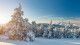 Прощай, зима! Пять самых необычных природных явлений в мороз