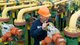 Если остановится транзит газа из РФ: в Украине проверят готовность газотранспортной системы