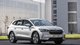 Самый дешевый электрокроссовер Skoda бросил вызов Tesla (фото)