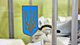 У Зеленского объяснили, чем отличается опрос от референдума: последствий не будет