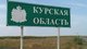 Россиянин показал поселок "из Сталкера" в Курской области, который обстреляли ВС РФ (видео)