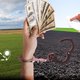 "Продавав" державну землю