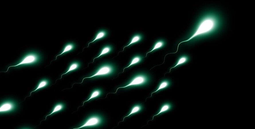 Как влияет марихуана на качество спермы как выглядит созревшая дикая конопля