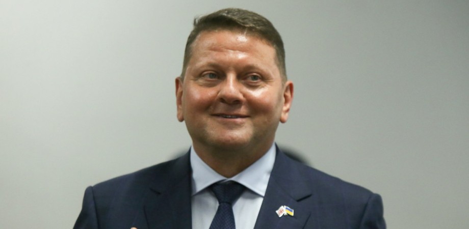 Валерий Залужный