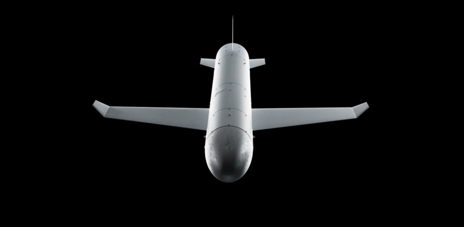 Ракета-дрон "Паляниця"