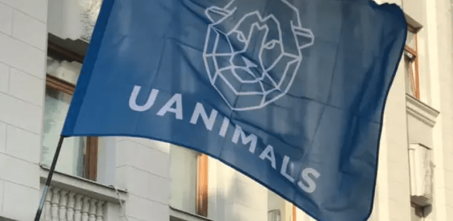 БО UAnimals