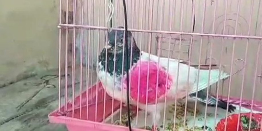 Скриншот
