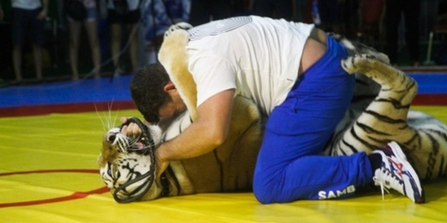 Фото:sambo.ru
