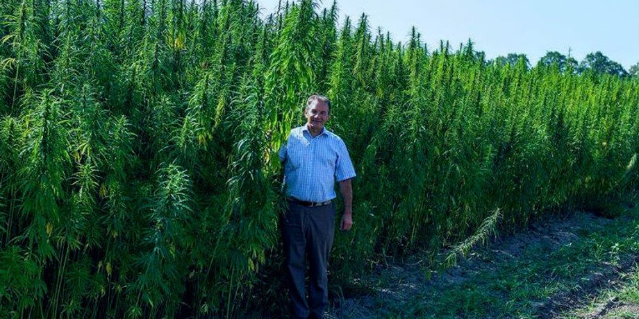 Фото: 420time.biz
