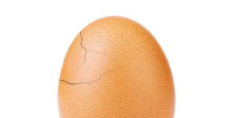 Фото: Instagram world_record_egg