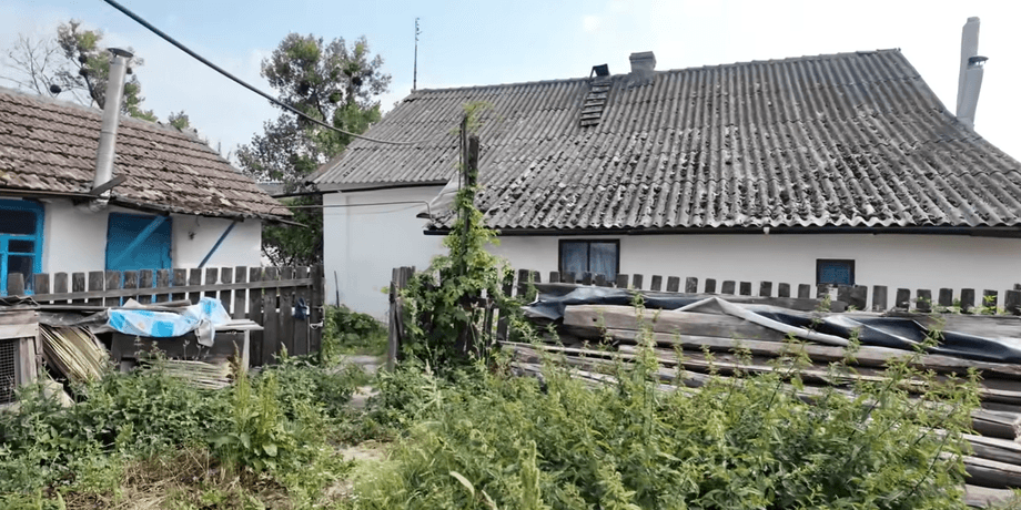 Будинок в селі