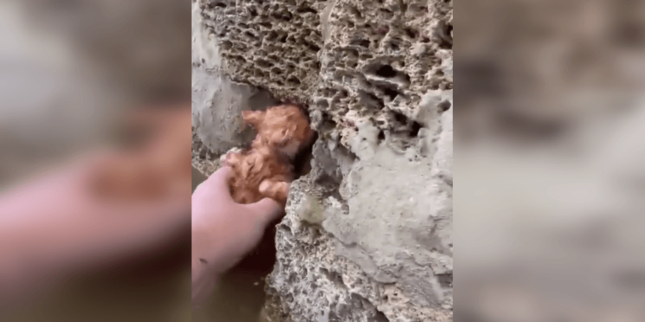 Херсон под водой, Херсон затопило, подрыв Каховской ГЭС,